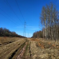 Настоящий апрель :: Андрей Лукьянов