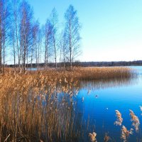 Весна в апреле (репортаж из поездок по). :: Милешкин Владимир Алексеевич 