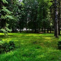 Чебоксары. В сквере им. В.И. Чапаева июльским днём. :: Пётр Чернега