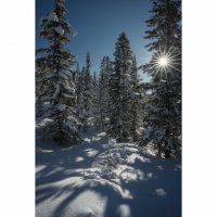 * :: Александр Иванов