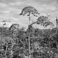 Название отсутствует :: Денис Безногов