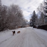 Февраль :: Антонина Гугаева
