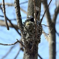 Ополовник. :: Алексей . Ополовник. :: Алексей .