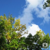 Раняя осень :: Олег Зоркий