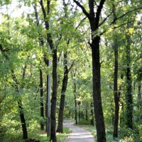 В парке :: Андрей Л. В. В парке :: Андрей Л. В.