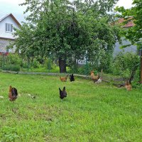 Семейство :: Валерий Судачок Семейство :: Валерий Судачок