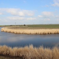 Местная река. :: Виктор 