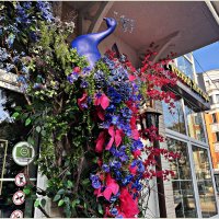 У магазина "Русский янтарь". :: Валерия Комова