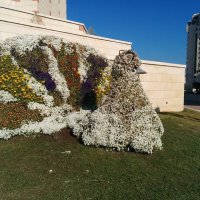 Павлин . Цветочная скульптура! :: Светлана Хращевская Павлин . Цветочная скульптура! :: Светлана Хращевская