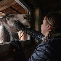 Конный центр "Русь" :: Валерий Михмель 