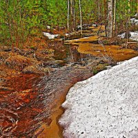 Май,...Таежный ручей! :: Владимир 