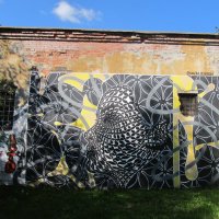 ПРО Екатеринбург :: Елена Шаламова