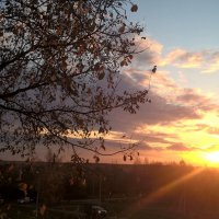 В лучах солнца :: Елена Семигина