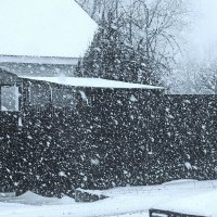 Снегопад апрельский... :: Владимир Шошин Снегопад апрельский... :: Владимир Шошин