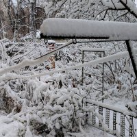 начало апреля  3 :: Александр Прокудин