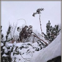 апрельский этюд :: Любовь 