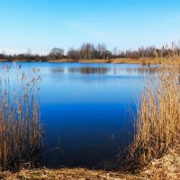 Природа Смоленщины (репортаж из поездки по области). :: Милешкин Владимир Алексеевич 