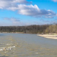 река Кубань :: Игорь Сикорский