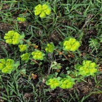 Весна :: Анатолий Чикчирный Весна :: Анатолий Чикчирный