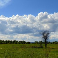 Подпирая облака. :: nadyasilyuk Вознюк