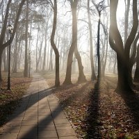 Тени :: ZNatasha - Тени :: ZNatasha -