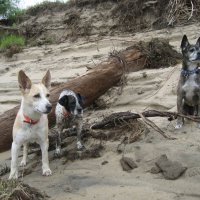 У протоки :: Anna Ivanova