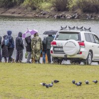 Вот судьи кто 2 :: Коля Лукашов Вот судьи кто 2 :: Коля Лукашов