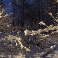 Зимняя Сказка в Апреле :: юрий поляков