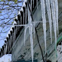 начало апреля 9 :: Александр Прокудин