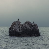 Бакланчики. :: Дмитрий А