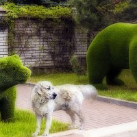 Охрана :: Владимир Кроливец Охрана :: Владимир Кроливец