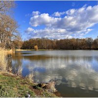 Картинка весны. :: Валерия Комова