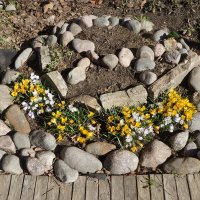 "...стихи и проза..." :: zavitok *