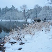 Берег после снегопада :: Андрей Снегерёв
