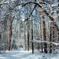 Апрельский день. :: Владимир Безбородов Апрельский день. :: Владимир Безбородов