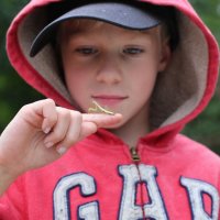 Смотрите! :: ZNatasha - Смотрите! :: ZNatasha -