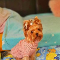 И ЗИМА НАМ НЕ СТРАШНА :: Анатолий Малобродский И ЗИМА НАМ НЕ СТРАШНА :: Анатолий Малобродский