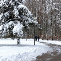 Украсил снег весенний парк. :: Милешкин Владимир Алексеевич 