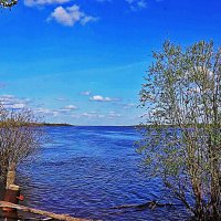 Июнь...Молодое лето на Оби! :: Владимир 