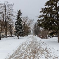 Снежный день весны :: Александр Синдерёв