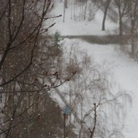 ... :: Юрий Куликов