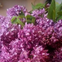 ,,, :: Сергей Тимоновский