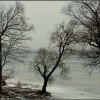 Скоро Весна :: Aleksandr Gal