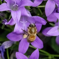 Приступаем к работе... :: Николай Гирш