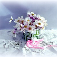 Весенние цветы. :: nadyasilyuk Вознюк Весенние цветы. :: nadyasilyuk Вознюк