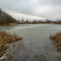 Январский пруд... :: Николай Гирш Январский пруд... :: Николай Гирш