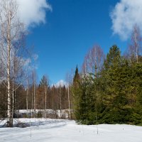 Весна :: Олег Малетин Весна :: Олег Малетин