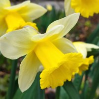 ,,, :: Сергей Тимоновский ,,, :: Сергей Тимоновский