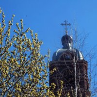 С Лазаревой субботой ! :: Зоя Мишина