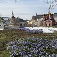 Первоцветы в Зарядье :: <<< Наташа >>>